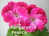 Margaret Pearce
